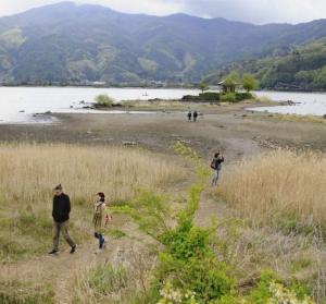 河口湖 浮島が地続き 水位低下 漁業に懸念 富士山net ふじさんネット 富士山情報 まるごとおまかせ